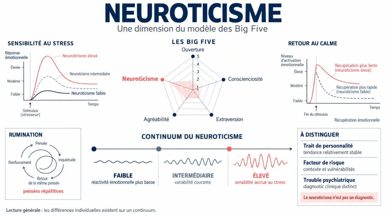 Infographie sur le neuroticisme dans le modèle des Big Five et ses niveaux